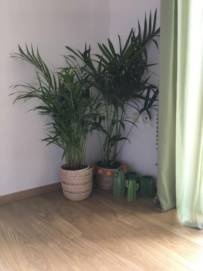 Olive Tree Cottage 2 เนอาเปรามอส ภายนอก รูปภาพ
